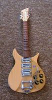 Rickenbacker 325V59 Hamburg maple.jpg
